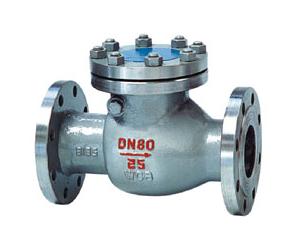 PN16~40 DIN Swing Check Valve F1 & F6 Series 