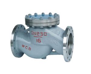 PN16~40 DIN Lift Check Valve 