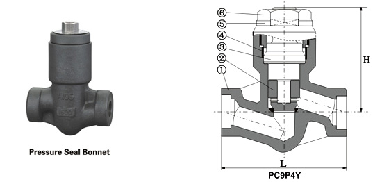 Class 900~2500 Pressure-Seal Piston Check Valve