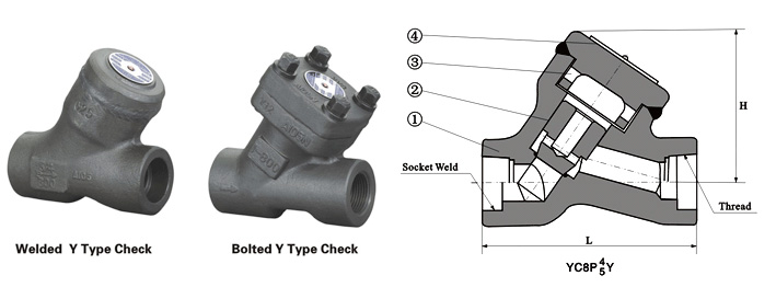 Class 800 Y-Pattern Piston Check Valve